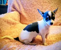 processed/f2a0d7e7-9c11-4392-abcb-7d1f7376bf41/listing/4bc0e15d-ca3b-45e5-9d05-b619789d922d/0e4793b5-9aae-4b00-bb2c-b7a8222a3a87