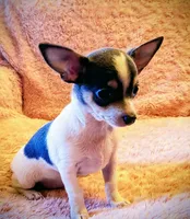 processed/f2a0d7e7-9c11-4392-abcb-7d1f7376bf41/listing/4bc0e15d-ca3b-45e5-9d05-b619789d922d/6e32f406-2aea-4ca3-a097-23647f63b115