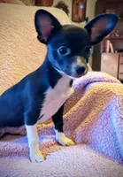 processed/f2a0d7e7-9c11-4392-abcb-7d1f7376bf41/listing/6a6b64b7-0d34-4f49-84fe-9093e5b4780e/fe3a2e62-52ac-4cab-b600-cbcf7fda8f12