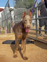 processed/f2b0914b-de99-4c5e-8de8-3d80d6fe2111/listing/32119bf1-ef4f-40a2-9862-bf72966252f4/1acaec09-0d9a-4067-afca-088aa23fddc4