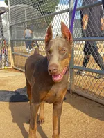 processed/f2b0914b-de99-4c5e-8de8-3d80d6fe2111/listing/32119bf1-ef4f-40a2-9862-bf72966252f4/776ebb88-1187-41a5-a484-8dc42af850de