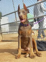 processed/f2b0914b-de99-4c5e-8de8-3d80d6fe2111/listing/32119bf1-ef4f-40a2-9862-bf72966252f4/bc586bea-4cdc-4d60-85e0-3f369426ca5f