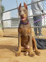 processed/f2b0914b-de99-4c5e-8de8-3d80d6fe2111/listing/32119bf1-ef4f-40a2-9862-bf72966252f4/ea4c4bc8-543d-4909-bbab-09b2183aebe9