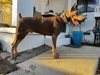 processed/f2b0914b-de99-4c5e-8de8-3d80d6fe2111/listing/32119bf1-ef4f-40a2-9862-bf72966252f4/f8198cb4-2eaf-42c3-9a86-43bf2730e90d