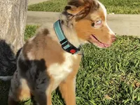 processed/f2b0914b-de99-4c5e-8de8-3d80d6fe2111/listing/b60e737a-0cd9-4a1c-8ed1-59637d4f8dd4/27b5c8b3-c97e-43dc-8041-39e4841688b8