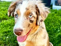 processed/f2b0914b-de99-4c5e-8de8-3d80d6fe2111/listing/b60e737a-0cd9-4a1c-8ed1-59637d4f8dd4/555cadef-21bd-441a-b0b0-8b89a9e841db