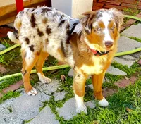 processed/f2b0914b-de99-4c5e-8de8-3d80d6fe2111/listing/b60e737a-0cd9-4a1c-8ed1-59637d4f8dd4/5c944b8a-86fa-4216-8a6e-510ec2406612