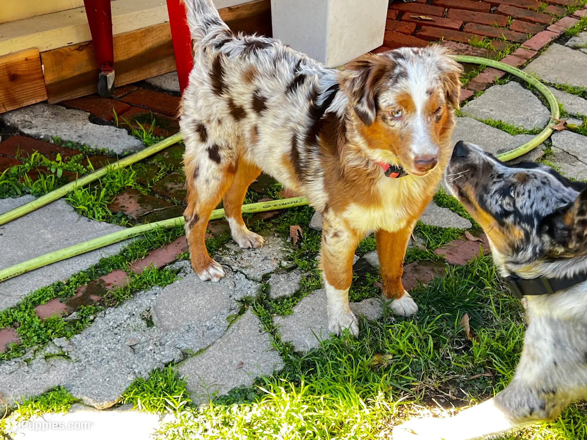 processed/f2b0914b-de99-4c5e-8de8-3d80d6fe2111/listing/b60e737a-0cd9-4a1c-8ed1-59637d4f8dd4/765e51cb-d8ca-4c32-bef2-553932839efa