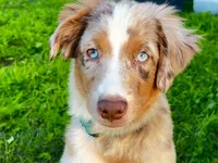 processed/f2b0914b-de99-4c5e-8de8-3d80d6fe2111/listing/b60e737a-0cd9-4a1c-8ed1-59637d4f8dd4/90760794-b552-44da-add8-faf2aa20cc7b