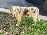 processed/f2b0914b-de99-4c5e-8de8-3d80d6fe2111/listing/b60e737a-0cd9-4a1c-8ed1-59637d4f8dd4/c13ad58d-a860-47de-969d-4a145077b8b8