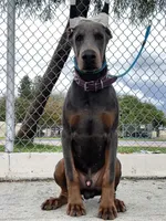 processed/f2b0914b-de99-4c5e-8de8-3d80d6fe2111/listing/c659558a-ef32-4847-9316-b4163b6d4fdc/02d4b2eb-6c36-4240-9265-f367d3ffcf64