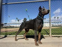 processed/f2b0914b-de99-4c5e-8de8-3d80d6fe2111/listing/c659558a-ef32-4847-9316-b4163b6d4fdc/1d12242f-0403-4425-b800-b2e051ee9fe1