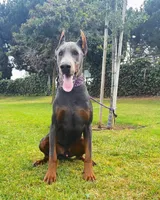 processed/f2b0914b-de99-4c5e-8de8-3d80d6fe2111/listing/c659558a-ef32-4847-9316-b4163b6d4fdc/8c6ebcbf-4a51-4208-9414-15a9ed29ffa5