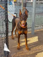 processed/f2b0914b-de99-4c5e-8de8-3d80d6fe2111/listing/ed7ea478-b800-4dd9-9537-8ae70692bded/1fb8fbf6-37a3-4dd8-a173-2493708da0f0