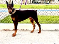 processed/f2b0914b-de99-4c5e-8de8-3d80d6fe2111/listing/ed7ea478-b800-4dd9-9537-8ae70692bded/6570e87c-4a17-4594-96f6-bdc2a38f5881