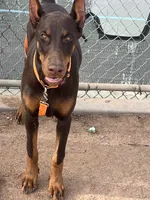 processed/f2b0914b-de99-4c5e-8de8-3d80d6fe2111/listing/ed7ea478-b800-4dd9-9537-8ae70692bded/b36fc922-b513-465f-8773-afc074a90511