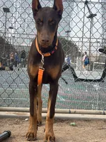 processed/f2b0914b-de99-4c5e-8de8-3d80d6fe2111/listing/ed7ea478-b800-4dd9-9537-8ae70692bded/bd70c596-d865-4111-b79d-f337409da13f