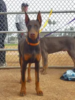 processed/f2b0914b-de99-4c5e-8de8-3d80d6fe2111/listing/ed7ea478-b800-4dd9-9537-8ae70692bded/f7ddfc77-1e01-4950-aa43-4243cc3514ab