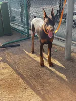 processed/f2b0914b-de99-4c5e-8de8-3d80d6fe2111/listing/ed7ea478-b800-4dd9-9537-8ae70692bded/fa7db6a1-e120-44ba-a591-05d10cfe32be