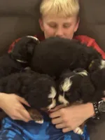 processed/f2b1f5b2-02d5-42fb-b078-cd51c7fe8e9e/listing/49b98319-61b0-4024-bdbd-dd472475abd4/6e182a5e-b5c0-484e-9b20-3ec51334138e