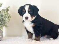 processed/f2b1f5b2-02d5-42fb-b078-cd51c7fe8e9e/listing/49b98319-61b0-4024-bdbd-dd472475abd4/9053d464-5a26-41b9-b475-a555716b2a12