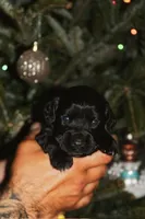 processed/f2c1ecb7-0fd7-4e48-9b8b-a2c6581a30c8/listing/233cefb6-b782-4585-9b5b-b18f8e9875c8/56a087b5-54f1-4576-ae37-943fddb7e8b0