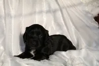 processed/f2c1ecb7-0fd7-4e48-9b8b-a2c6581a30c8/listing/233cefb6-b782-4585-9b5b-b18f8e9875c8/6e3aba7e-4823-4b32-a78e-885ba04581da