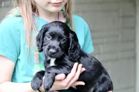 processed/f2c1ecb7-0fd7-4e48-9b8b-a2c6581a30c8/listing/233cefb6-b782-4585-9b5b-b18f8e9875c8/76221f61-fc75-4b8c-b5e1-60a787534404