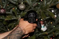 processed/f2c1ecb7-0fd7-4e48-9b8b-a2c6581a30c8/listing/233cefb6-b782-4585-9b5b-b18f8e9875c8/7725c6fb-d65a-492c-8063-4dd07ccd1a25