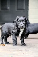 processed/f2c1ecb7-0fd7-4e48-9b8b-a2c6581a30c8/listing/233cefb6-b782-4585-9b5b-b18f8e9875c8/95567013-1d6e-4431-961e-cc4931e37974