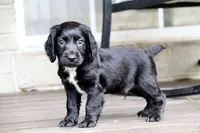 processed/f2c1ecb7-0fd7-4e48-9b8b-a2c6581a30c8/listing/233cefb6-b782-4585-9b5b-b18f8e9875c8/a102f163-e9ac-4d06-9d5a-784d8bf4d65a