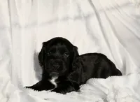 processed/f2c1ecb7-0fd7-4e48-9b8b-a2c6581a30c8/listing/233cefb6-b782-4585-9b5b-b18f8e9875c8/e1741572-9ae8-4412-aa48-ab1d2b9baad7