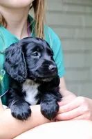 processed/f2c1ecb7-0fd7-4e48-9b8b-a2c6581a30c8/listing/233cefb6-b782-4585-9b5b-b18f8e9875c8/eecfc9a7-5587-48cb-837d-21bf8c364489