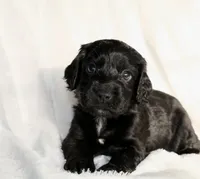 processed/f2c1ecb7-0fd7-4e48-9b8b-a2c6581a30c8/listing/d0c75cbb-d109-41d0-b58e-f3f6a2375bf8/0d5cd01f-9b94-4e51-94bf-fdfa70047c89