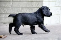 processed/f2c1ecb7-0fd7-4e48-9b8b-a2c6581a30c8/listing/d0c75cbb-d109-41d0-b58e-f3f6a2375bf8/3168cd40-7c6c-48ef-b81e-fa96abef9dc6