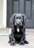 processed/f2c1ecb7-0fd7-4e48-9b8b-a2c6581a30c8/listing/d0c75cbb-d109-41d0-b58e-f3f6a2375bf8/abb6c4c8-6f52-492e-902c-501dd338f1a9