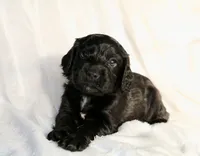 processed/f2c1ecb7-0fd7-4e48-9b8b-a2c6581a30c8/listing/d0c75cbb-d109-41d0-b58e-f3f6a2375bf8/b082d3a7-08e9-487d-b2e7-bc47ed95b006