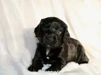 processed/f2c1ecb7-0fd7-4e48-9b8b-a2c6581a30c8/listing/d0c75cbb-d109-41d0-b58e-f3f6a2375bf8/b1f5d174-24ec-4106-a511-905abe058917