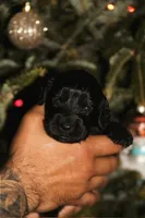 processed/f2c1ecb7-0fd7-4e48-9b8b-a2c6581a30c8/listing/d0c75cbb-d109-41d0-b58e-f3f6a2375bf8/c9f0b1ac-1aa1-4067-8f7a-e24440ea9b34