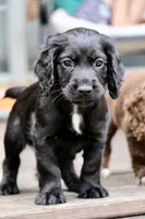 processed/f2c1ecb7-0fd7-4e48-9b8b-a2c6581a30c8/listing/d0c75cbb-d109-41d0-b58e-f3f6a2375bf8/e35d56fc-9bab-463a-a6a4-0d124f25659d