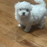 processed/f2c9f008-2734-412c-988a-17f5d0c97ee0/facility/0a9420c8-8eae-4564-90c5-83ce2a4f6d50