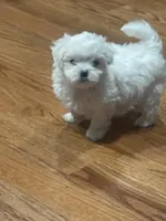 processed/f2c9f008-2734-412c-988a-17f5d0c97ee0/facility/0a9420c8-8eae-4564-90c5-83ce2a4f6d50