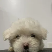 processed/f2c9f008-2734-412c-988a-17f5d0c97ee0/facility/4f591cff-5e28-4f37-9a37-3390af1c3ca8