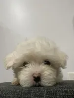 processed/f2c9f008-2734-412c-988a-17f5d0c97ee0/facility/4f591cff-5e28-4f37-9a37-3390af1c3ca8