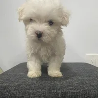 processed/f2c9f008-2734-412c-988a-17f5d0c97ee0/facility/5fd6ffae-c871-4cdd-ac0b-70e1d663be77