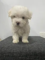 processed/f2c9f008-2734-412c-988a-17f5d0c97ee0/facility/5fd6ffae-c871-4cdd-ac0b-70e1d663be77