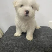 processed/f2c9f008-2734-412c-988a-17f5d0c97ee0/facility/6ca07ced-6c33-4da8-ad16-0792d796d016