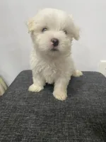 processed/f2c9f008-2734-412c-988a-17f5d0c97ee0/facility/6ca07ced-6c33-4da8-ad16-0792d796d016