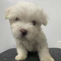 processed/f2c9f008-2734-412c-988a-17f5d0c97ee0/facility/7248b34a-26fa-41b9-a9ec-53346522845b