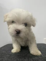 processed/f2c9f008-2734-412c-988a-17f5d0c97ee0/facility/7248b34a-26fa-41b9-a9ec-53346522845b